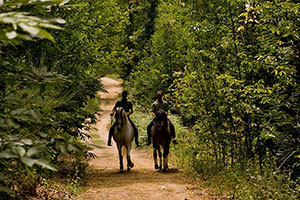 B_NATURALEZA_06