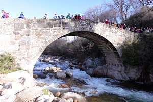 Planes de invierno