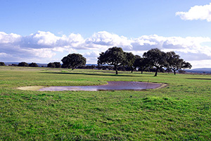B_GALISTEO_GOLF_08