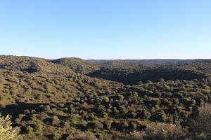 Santa Marta de Magasca