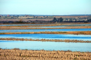 Moheda Alta Periurban Conservation and Recreation Park