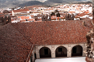 B_ALCAZAR-DE-LOS-DUQUES-DE-FERIA_05