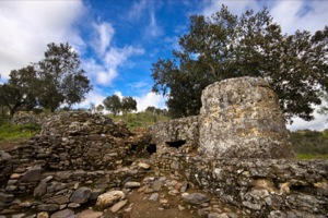 Castrejón de Capote