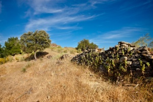 Albalat archaeological site